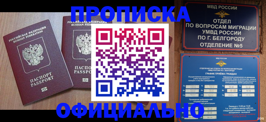 найти адрес прописки в Великом Устюге